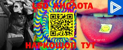 шишки Свободный