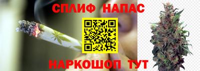 Альфа ПВП Сланцы