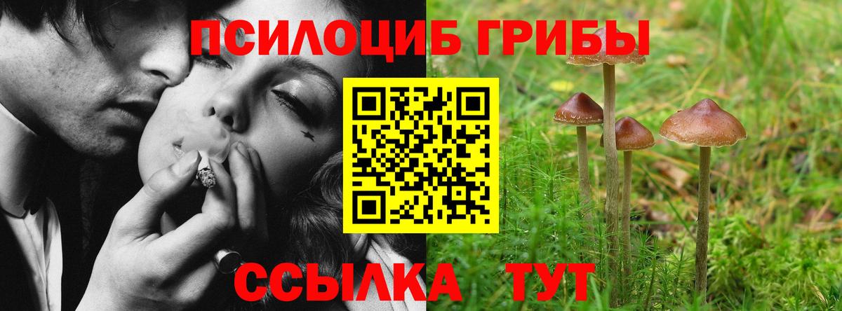Псилоцибиновые грибы ЛСД Сарапул